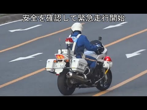 交通取締り動画視聴回数ベストテンをダイジェスト版で一挙公開【白バイ、テクニック、覆面、パトカー、サイレン、追跡、違反、逃走】全て見るまで帰れま10