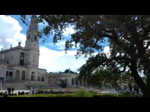 Fátima: El árbol donde rezaban los pastorcitos