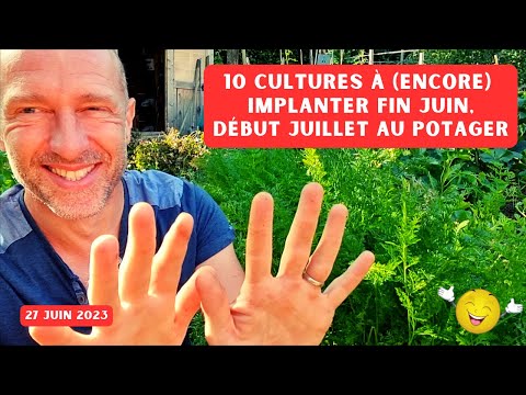 10 cultures à implanter dans votre potager avant qu&apos;il ne soit trop tard ! (fin juin à mi-juillet)