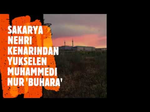 Nakşibendiyye / Buhara Köyü /Seyyid Fevzeddin Elbilvanisi (ks)