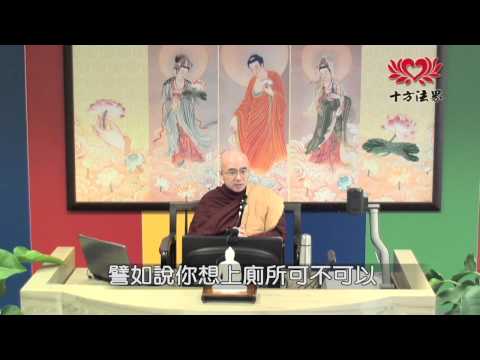 Thumbnail for 102 03 16隨佛法師 通貫生活與解脫之佛陀禪法04