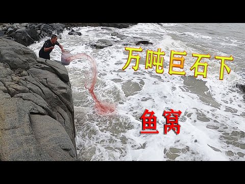 几百米长的万吨巨石坑，昂贵野货齐聚一窝，光几条毒货就值上千