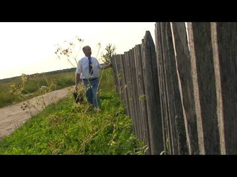 Thumbnail for РАСТЕТ РАСТЕТ ВОЗЛЕ ДОМА КАЛИНА.