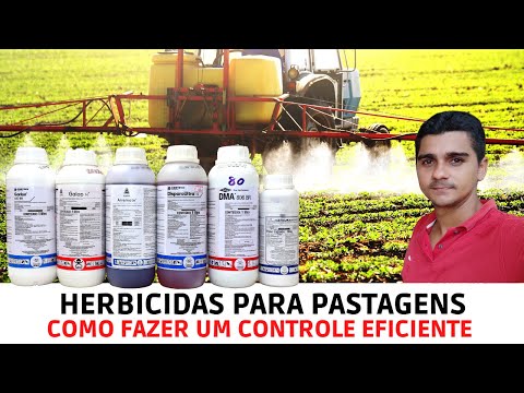 Herbicidas para Pastagem/Como Controlar Ervas Daninhas no Seu Pasto