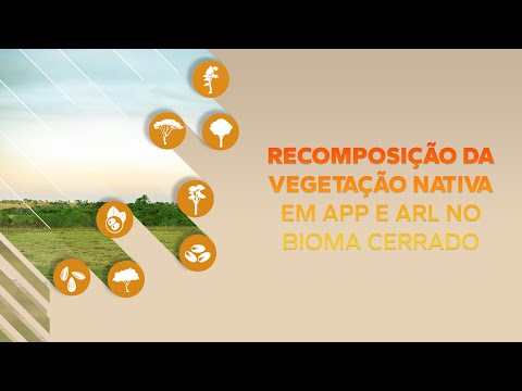 Thumbnail for Aula 5 - WebAmbiente (Protocolo WebAmbiente no PRA - Como usar)